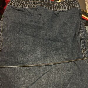 Terra & Sky Women's Blue Jean Shorts